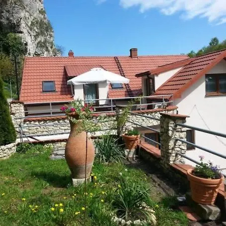 Pod Sosnowym Drzewem