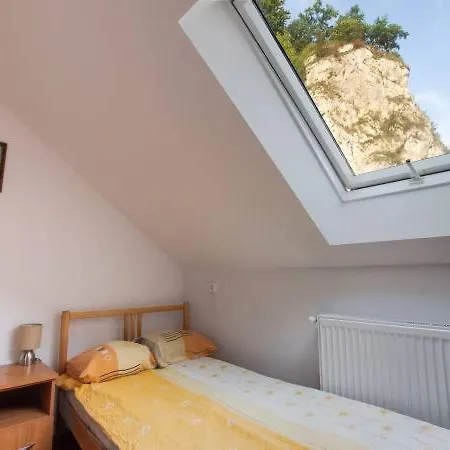 Pensjonat Pod Sosnowym Drzewem *