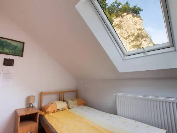 Pensjonat Pod Sosnowym Drzewem *